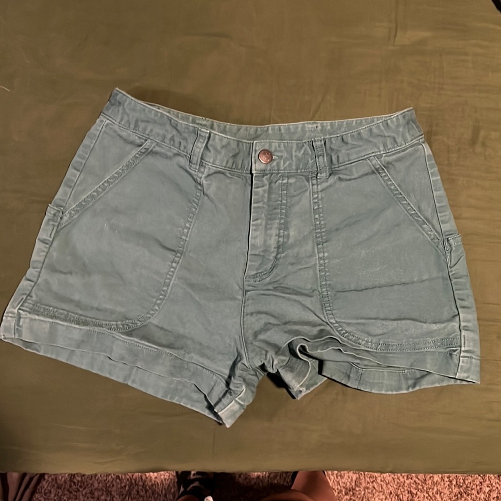 Patagonia teal shorts